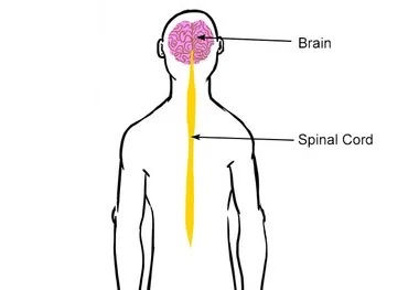 "Constant Burning Sensation, Could You Have Central Pain Syndrome Too?"