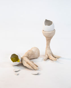 לא למאכל. אפרת פרידזון 01. מחיר 250. צילום מאשה מחלינובסקי.