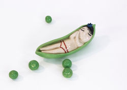 לא למאכל.לנה גוברמן. מחיר 200, צילום מאשה מחלינובסקי