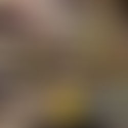 「パンデミックは消費行動を変化させる」