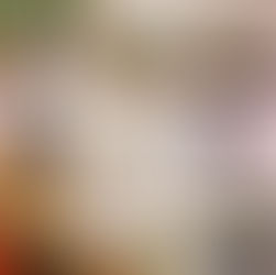 孫平生け込みサービス