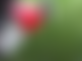 5 Lawn Mowing Tips No One Tells You About