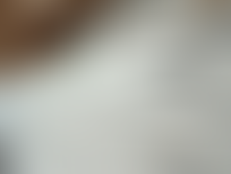 Top Wholesale Cabinets NJ: Your Guide to the Best Kitchen Cabinets in New Jersey