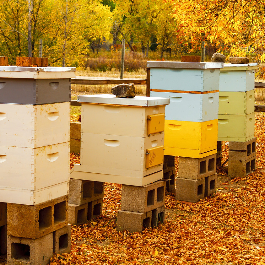 Beekeeping Winterization Class