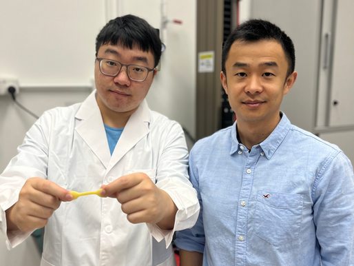HKU Mechanical Engineering team develops multifunctional tendon-mimetic hydrogels