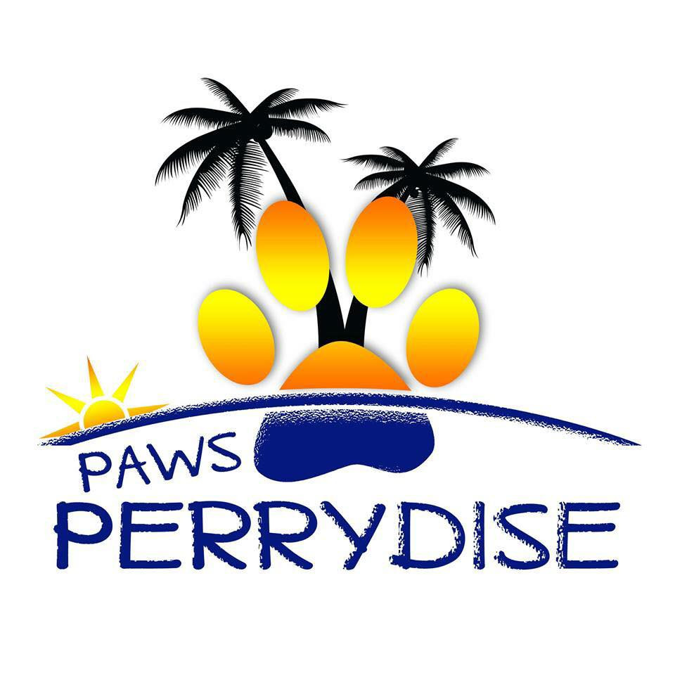 Separation Anxiety Pawsperrydise separation-anxiety-pawsperrydise