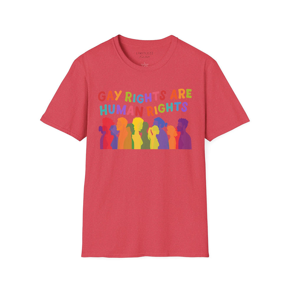 Thumbnail: UNISEX 'GAY RIGHTS', T-Shirt