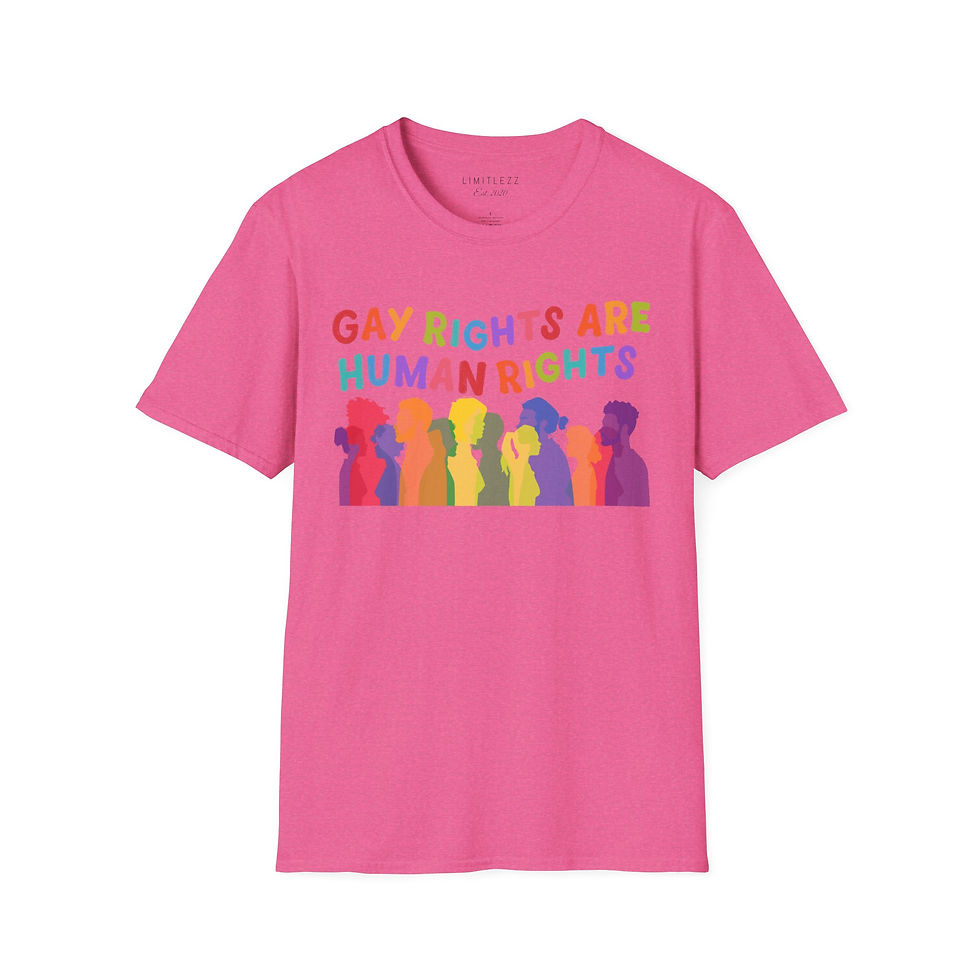 Thumbnail: UNISEX 'GAY RIGHTS', T-Shirt