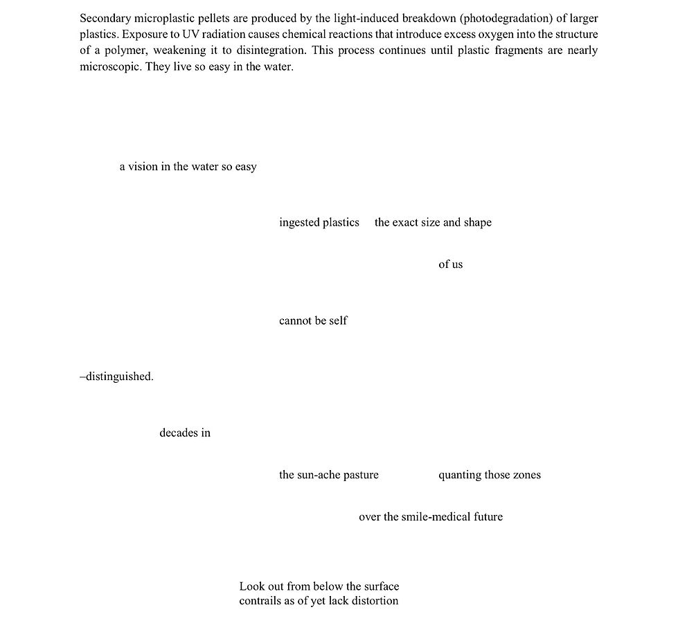 Myers- Nurdlesque 7 (1).jpg