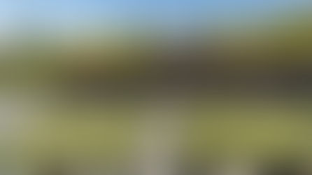 年間$5,000奨学金あり！ビジネス・ITに強いマッコーリー大学入学ガイド