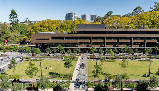 年間$5,000奨学金あり！ビジネス・ITに強いマッコーリー大学入学ガイド