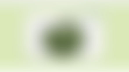 【オーストラリア節約アプリ④】レシートを貯めてギフトカードをゲットできる愛用アプリ！