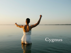 Cygnus