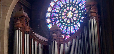 20250615_rosaceOrgue.jpg
