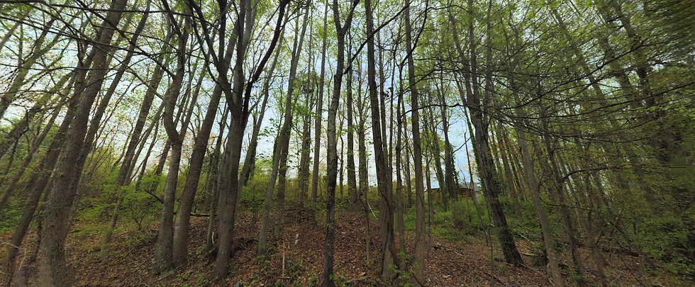 Thumbnail: SOLD! Low Price, Unique, Ready to Build Lot in Waughtown! | Longview - 27107