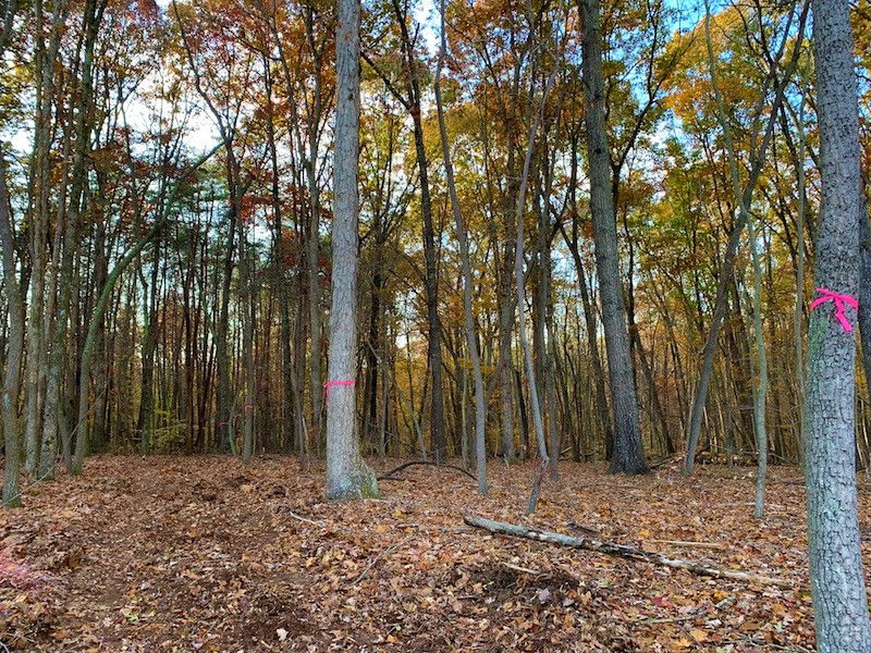 Thumbnail: SOLD! 21 Acre Rural Getaway w/ Creek | Old Rural Hall - 27105
