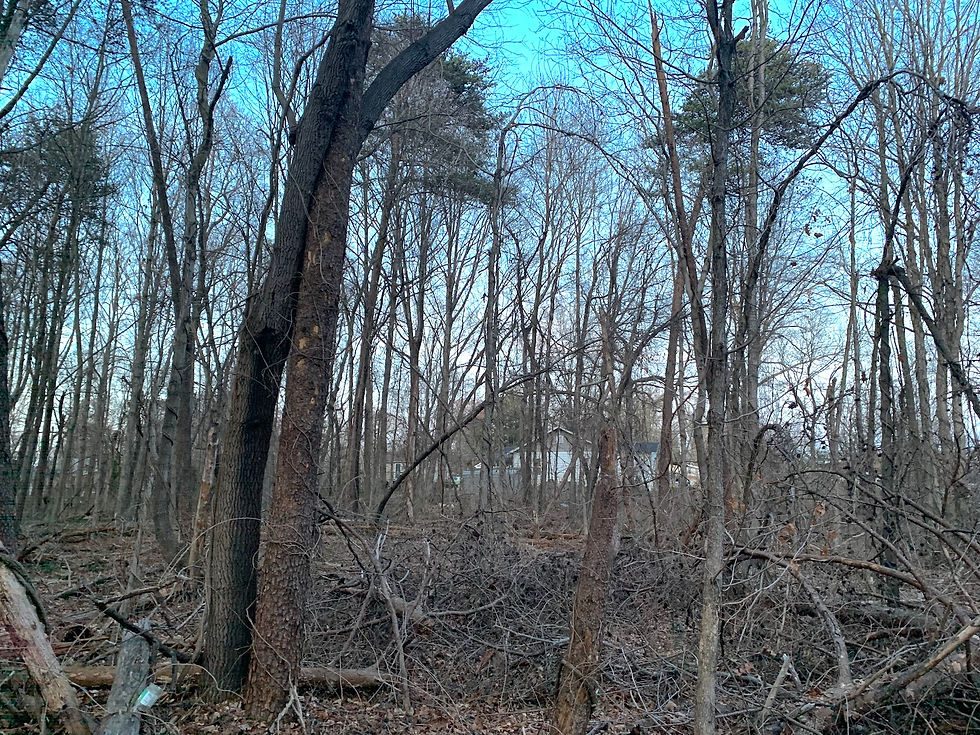 Thumbnail: SOLD! Private, Level, End-of-the-Road Lot in North Winston | Fredonia - 27105