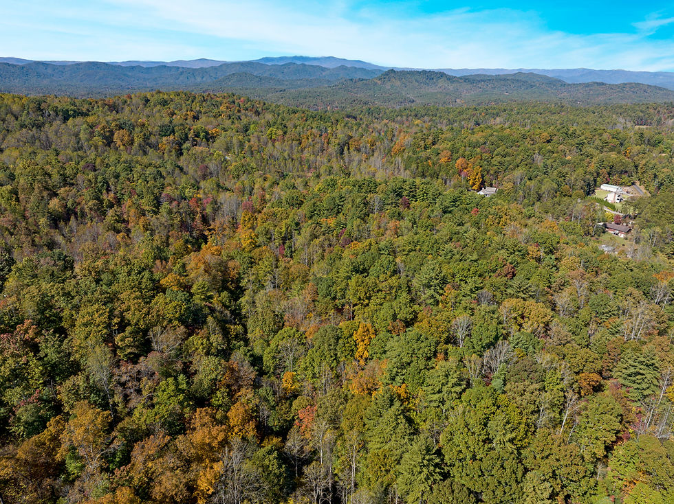 Thumbnail: Over 9 Acres of Privacy Near Lenoir, NC | Caldwell County