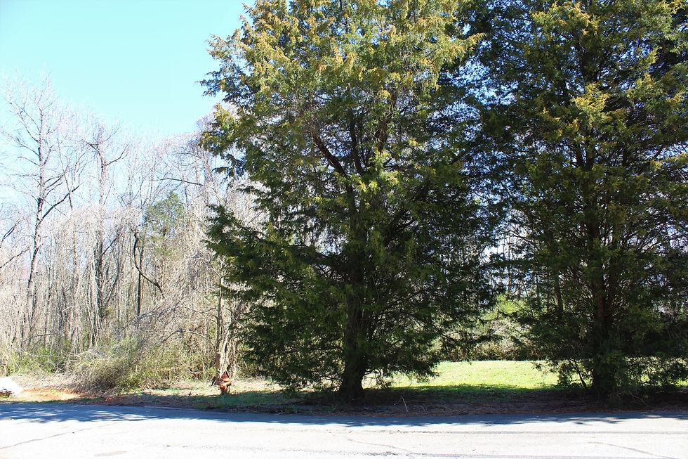 Thumbnail: SOLD! 0.57 Acre Lot with Quarry Park in Your Back Yard | Leight St - 27107