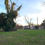 Thumbnail: SOLD! Grassy Lot in North Winston at Investors Pricing | Woodland - 27105