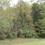 Thumbnail: SOLD! 9.56 Acres in Mt. Airy w/ Stream, Mtn Views & RV Pad | E Pine St - 27030