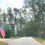 Thumbnail: Nearly Half an Acre for Sale in the Heart of Greenville County! | Blacktop Rd