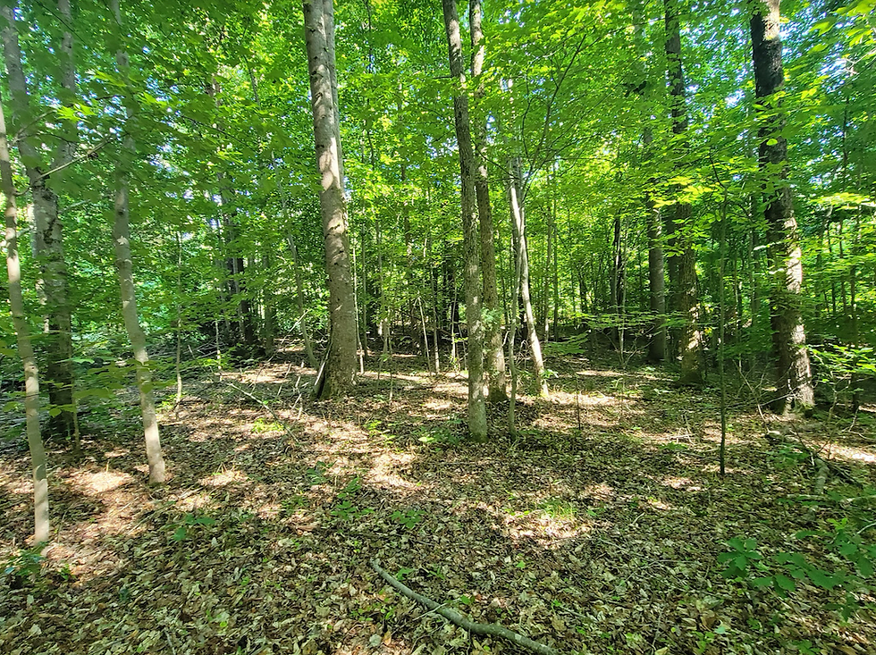 Thumbnail: SOLD! 2.03 Private, Rural Acres North of Walkertown, NC! | Walnut Cove Rd