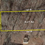 Thumbnail: Fully Treed, Ready to Built on Lot in Forsyth County! 15 Min to Downtown Winston