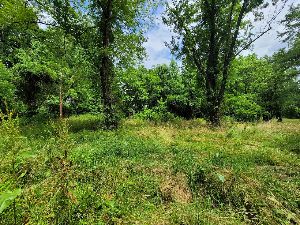 Thumbnail: SOLD! 0.84 Unrestricted Acres w/ Pole Barn in Wilkes County, NC! | Old Pine Rd