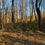 Thumbnail: SOLD! Quarter Acre Near Quarry Park, SE Winston | Rockford St - 27107