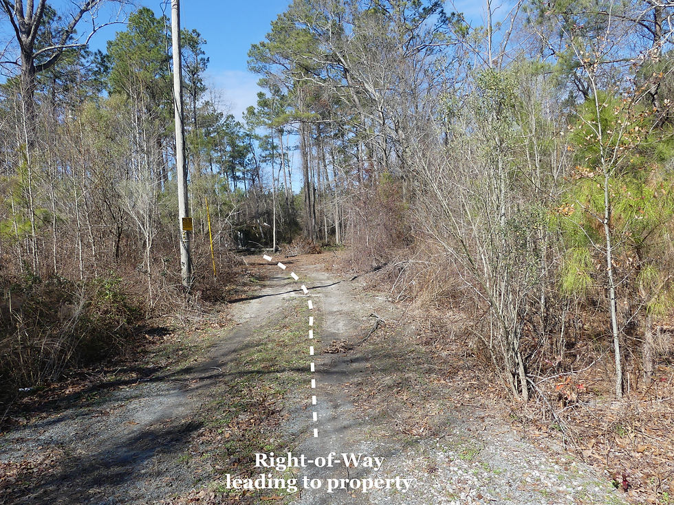 Thumbnail: SOLD!Total Privacy on this 1.19 Ac Lot. Min from the DT District of Red Springs!