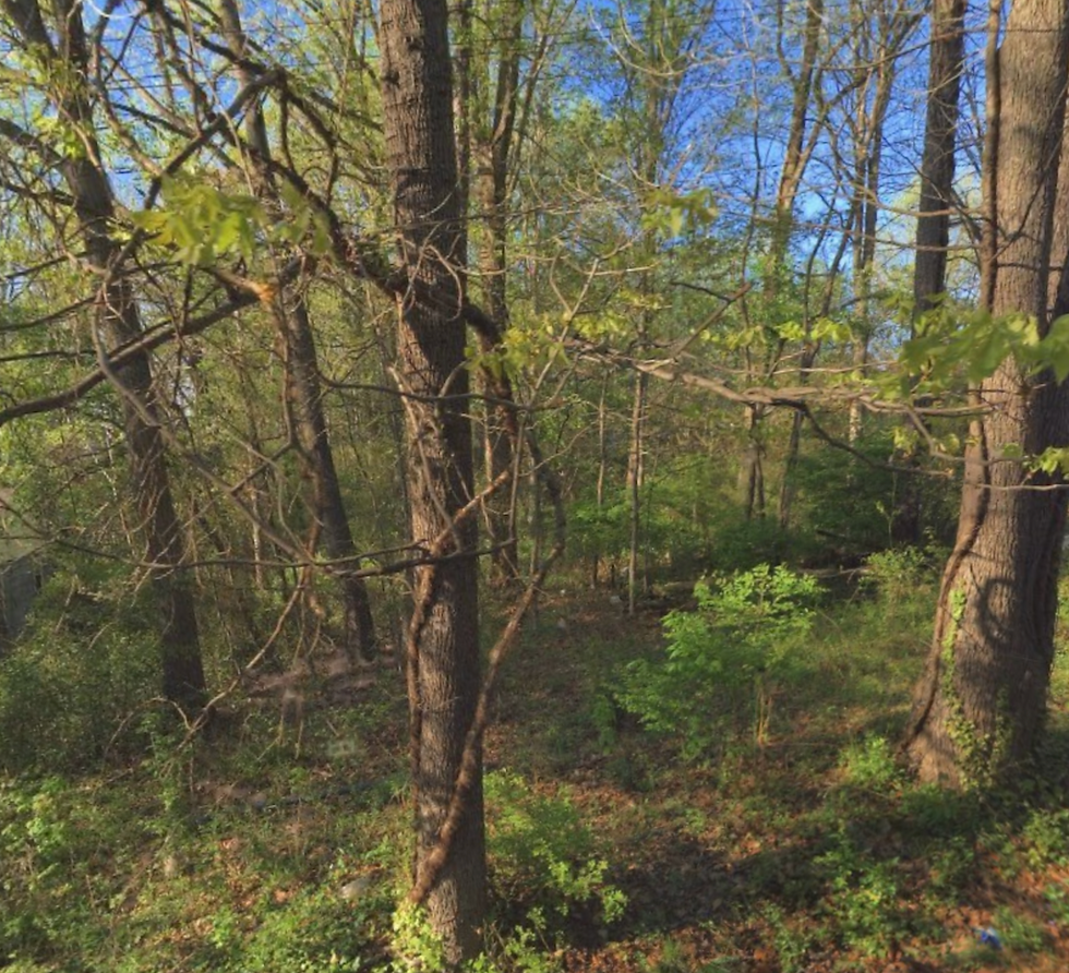 Thumbnail: SOLD! Private Lot, Close to Downtown & Hwy 52 in Winston | Autoserve St - 27105