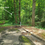 Thumbnail: SOLD! 1.8 Rural Acres in Wilkes County w/ Creek! | Euclid Ave