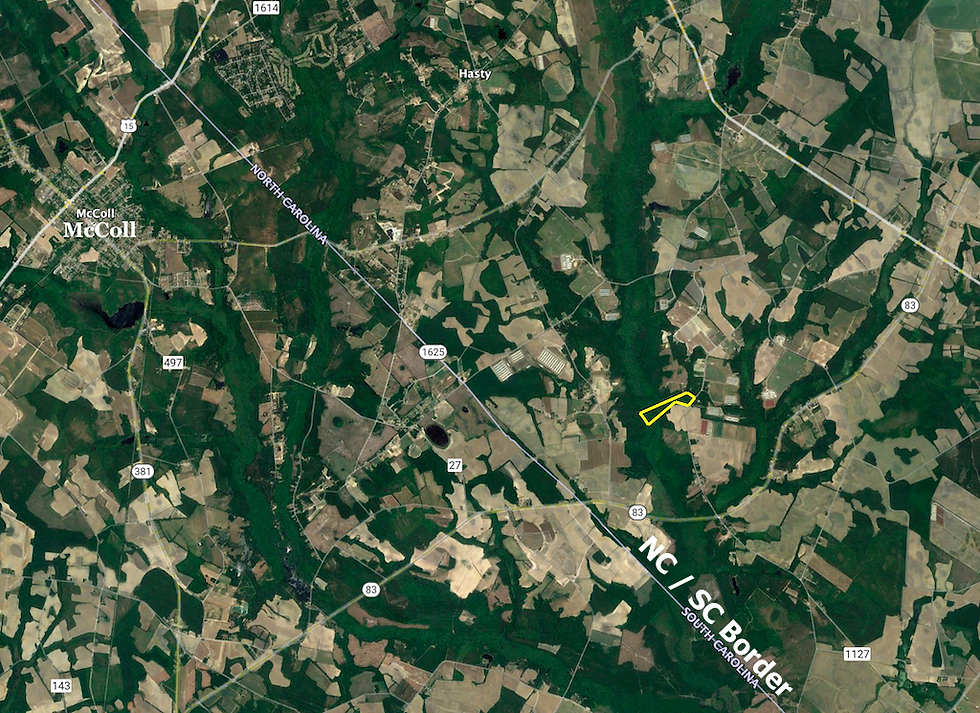 Thumbnail: SOLD! 22 Ac Rural Lot in Robeson Cty. 5 Min from the NC/SC Border! | Gaddys Mill