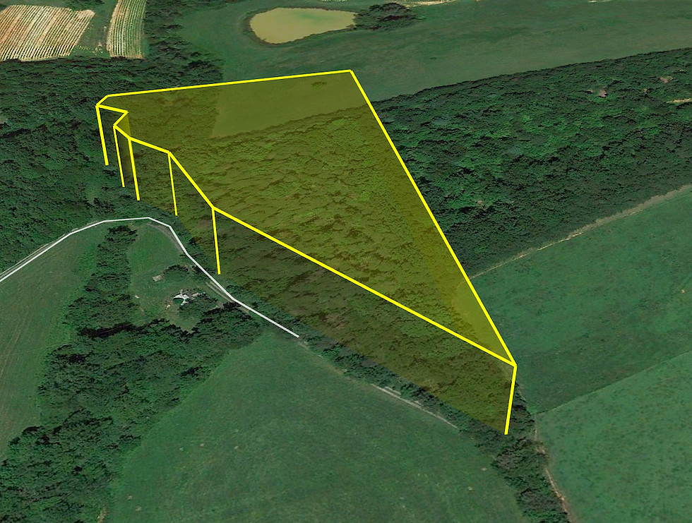 Thumbnail: SOLD! 3 Rural Acres in Stokes County. Minutes from VA Border! | Asbury Rd