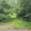 Thumbnail: SOLD! 12.45 Ac w/ Old Home On Little Warrior Creek in Wilkes! | Bud West Rd