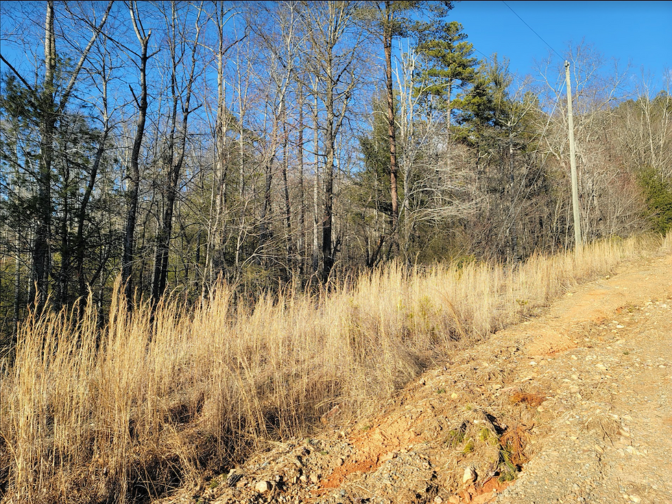 Thumbnail: SOLD! 7 Rural Acres in Surry Co. Minutes to VA Border! | Hidden Valley Estates