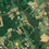 Thumbnail: SOLD! 1.04 Rural Acres Just Outside of Lumberton, NC. | Isaac Dr