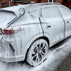 Safe wash, snow foam, dry.