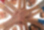 shutterstock_1408567334.jpg