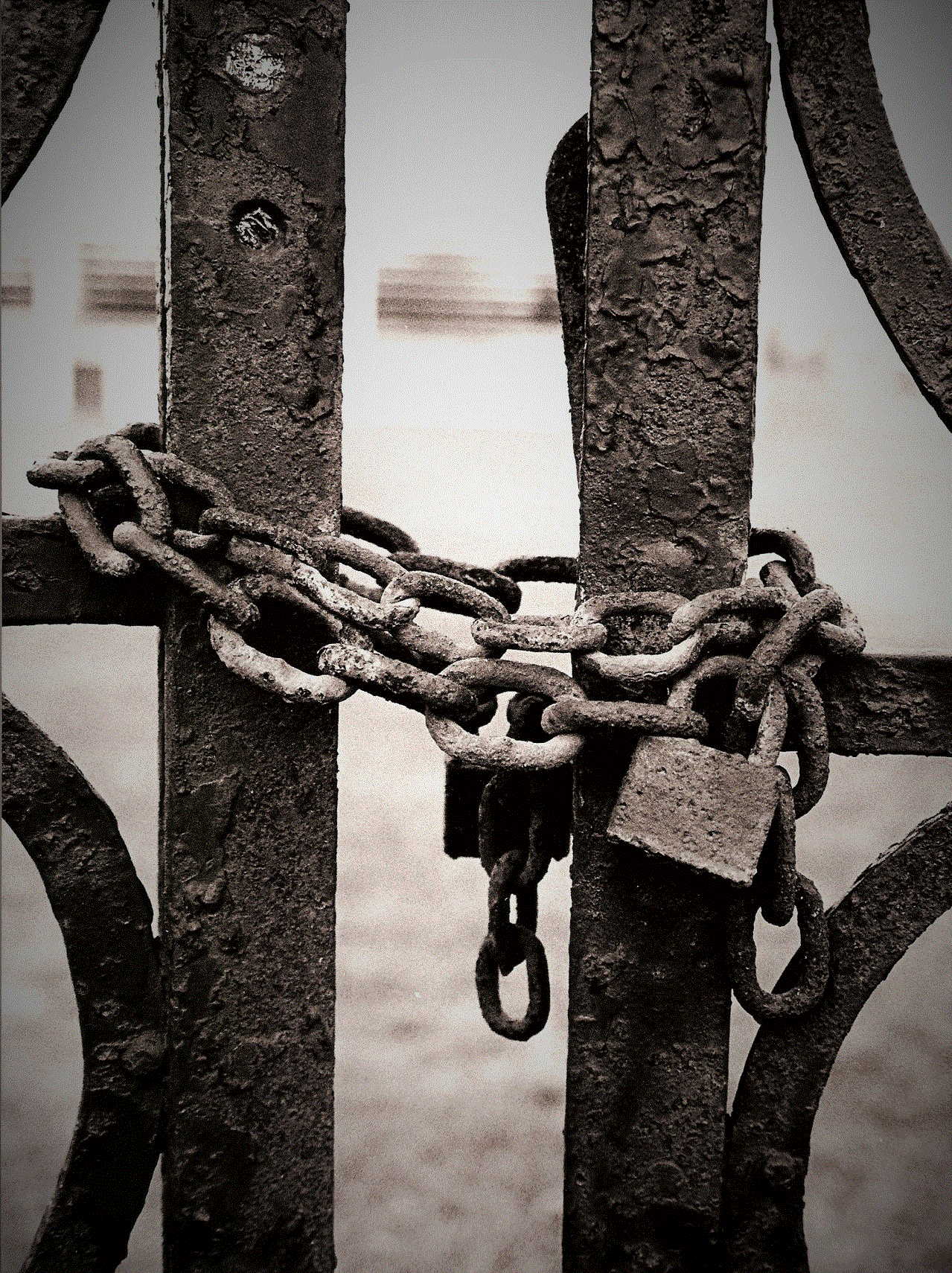 A locked iron gate. Image: FreeImages.com/Alicia Evans