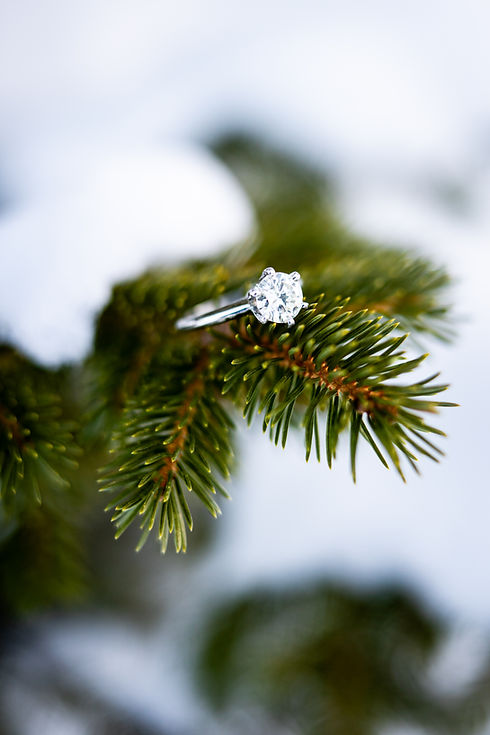 Arielle_Jacob_Engagement-4.jpg