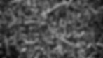 DSCN2840-1.jpg