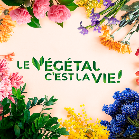 MicrosoftTeams-image (88).png