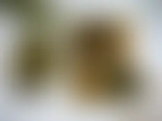 How Do Persian and Mediterranean Flavors Complement Each Other?