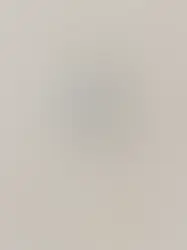 How Do Kona Dive Packages Support Marine Conservation?