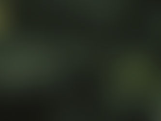 The Benefits of Organic Exterminators in Creating a Healthy Living Environment