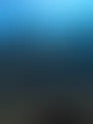 What Can You Expect When You Try Scuba Diving with Manta Rays?