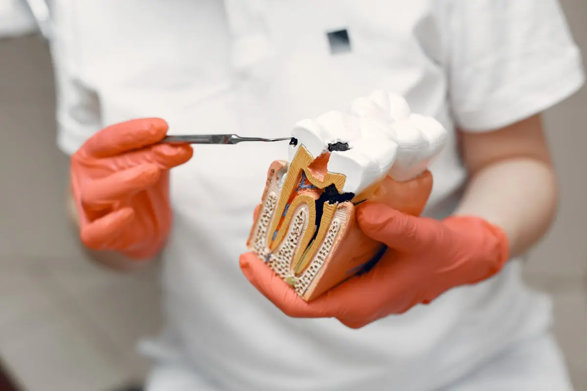 Rams Dental World