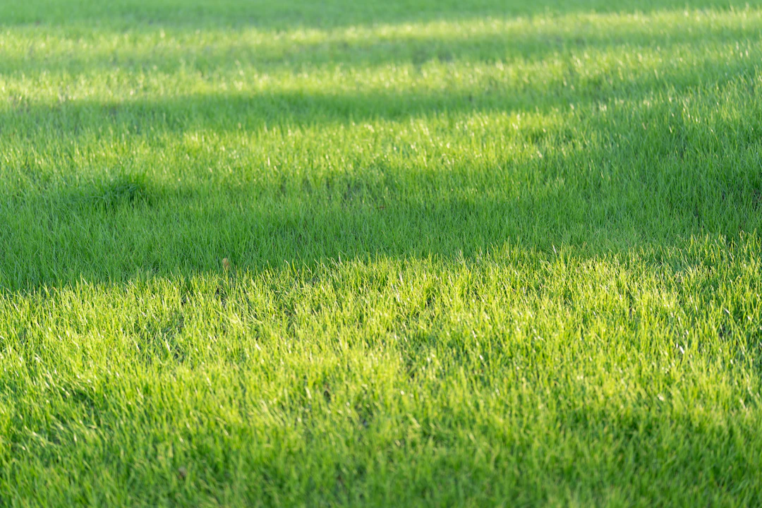 Mastering Natural Pest Control: How to Handle Lawn Pests with Ease